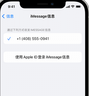 钟山apple维修iPhone上无法正常发送iMessage信息 