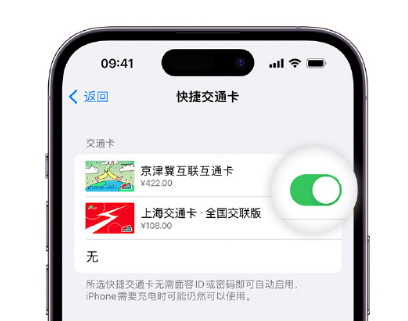 钟山apple维修点分享iPhone上更换Apple Pay快捷交通卡手绘卡面 