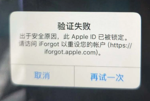 钟山iPhone维修分享iPhone上正常登录或使用AppleID怎么办 