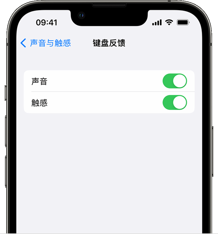 钟山苹果14维修店分享如何在 iPhone 14 机型中使用触感键盘 