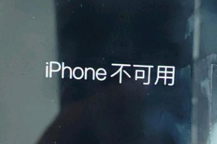 钟山苹果服务网点分享锁屏界面显示“iPhone 不可用”如何解决 