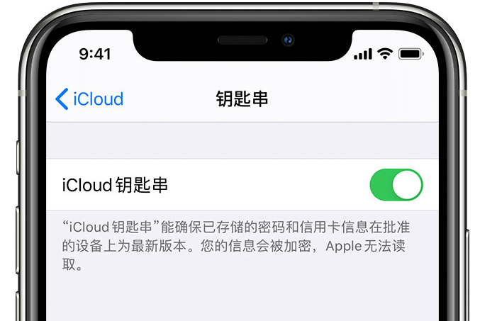 钟山苹果手机维修分享在 iPhone 上开启 iCloud 钥匙串之后会储存哪些信息 